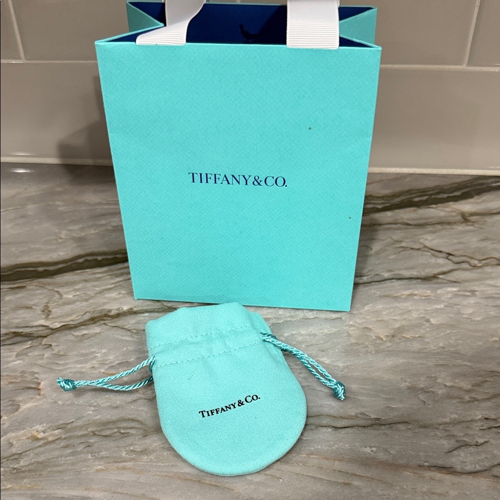 Tiffany & Co. Turquoise Bag and Pouch Set